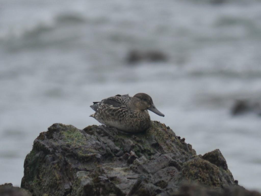 Un cierto aroma a invierno