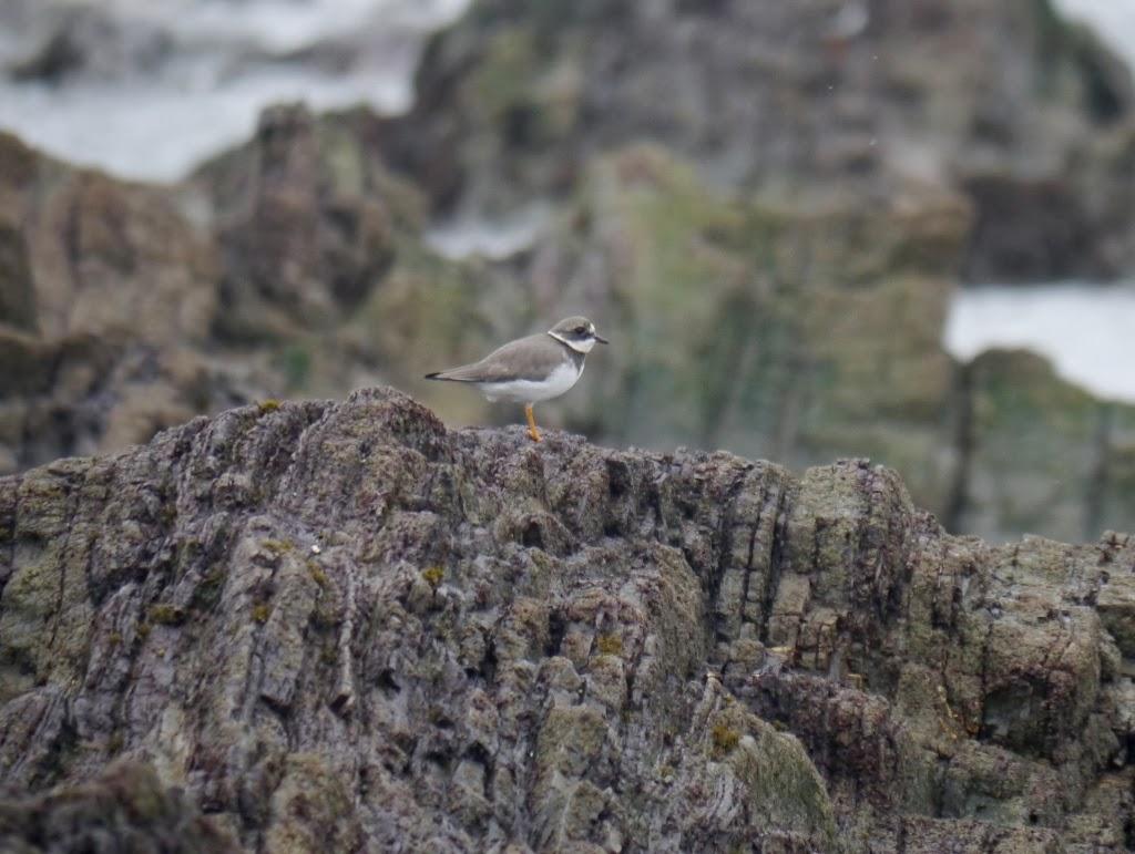 Un cierto aroma a invierno