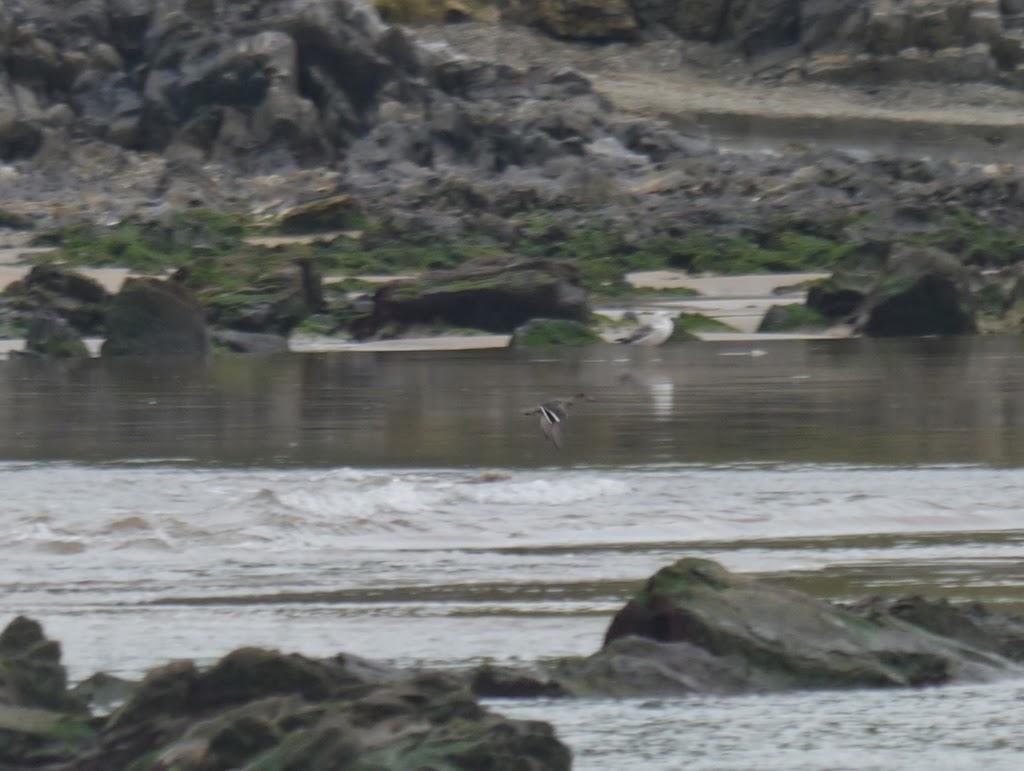 Un cierto aroma a invierno