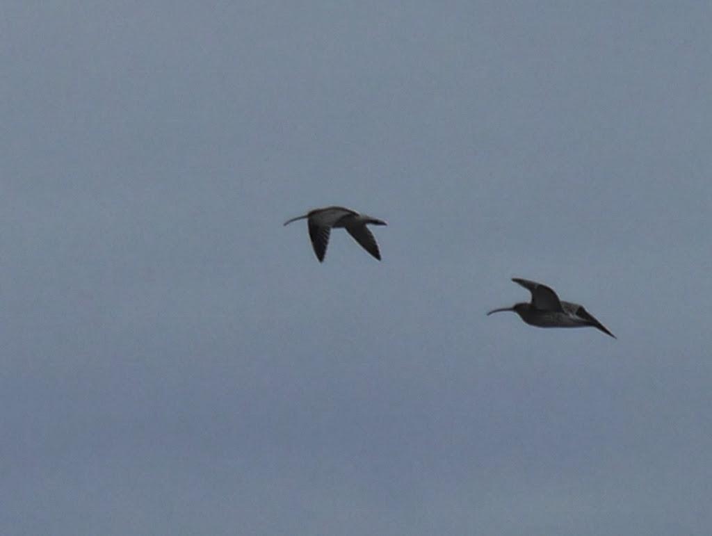 Un cierto aroma a invierno