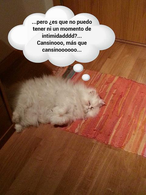 estamos tan agustito