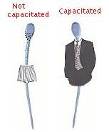 El viaje de los espermatozoides, capacitación y llegada al óvulo