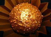 Tarta Ferrero Rocher