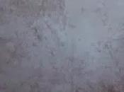 Warrior's Code,una opinión