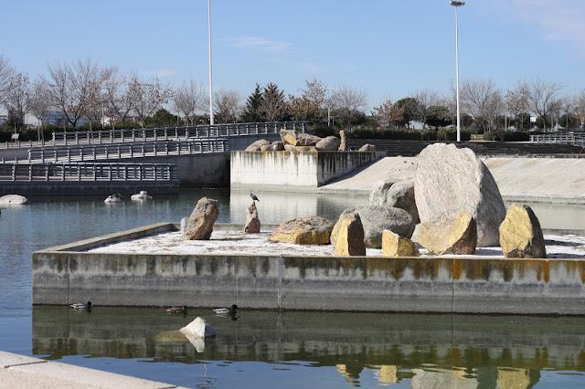 CERDITOS DE HOJALDRE CON JAMÓN Y QUESO