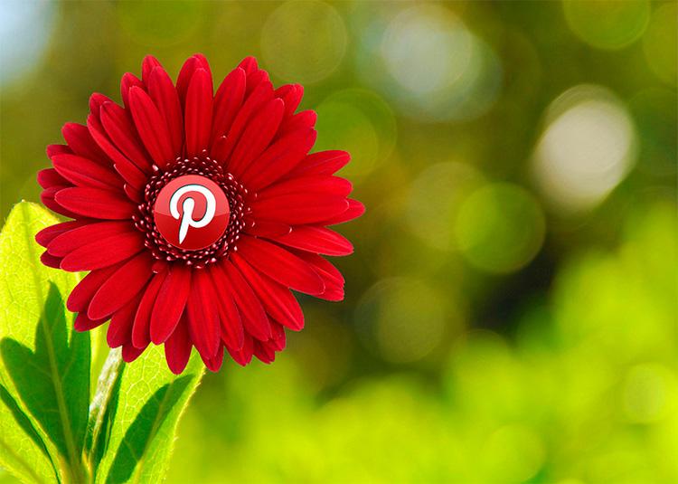 acciones para mejorar tu marketing en Pinterest