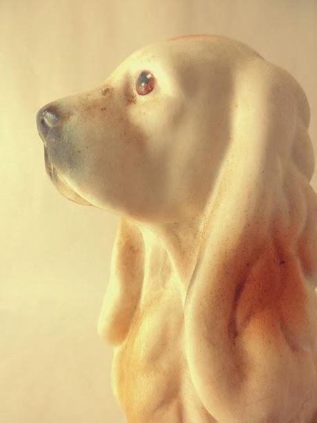 Blog hop! Macro del dia ... Animales vintage