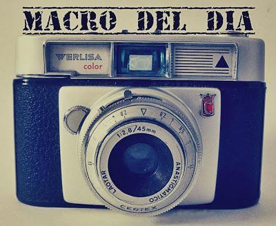 Blog hop! Macro del dia ... Animales vintage