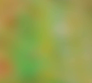 Martin Di Girolamo . Exposicion