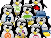 distribución Linux