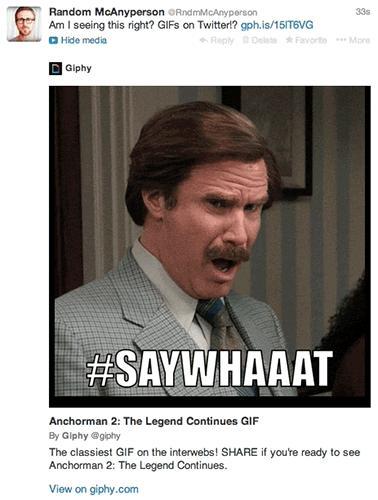 gif-on-twitter
