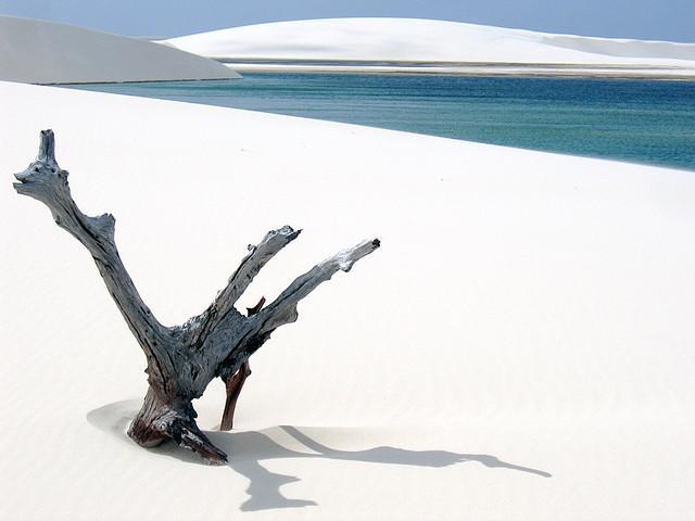 parque-nacional-lencois-maranhenses-brasil-L-Z7X3m4