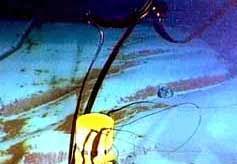 Yo sí que me acuerdo del Prestige