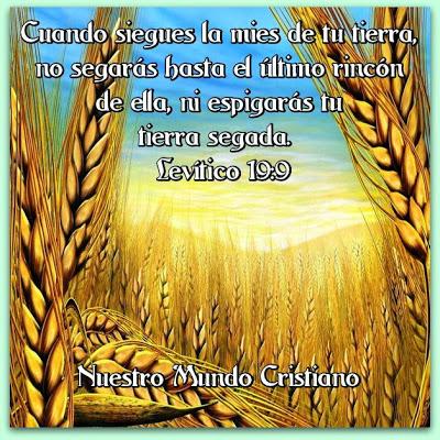 Sobre ayudar a otros