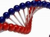 Remangues genéticos