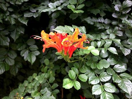 Picnic en los jardines del Grec Bcn_colours_jardinsGrec01