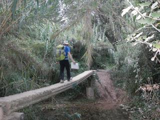 Camino de Santiago en Catalunya. De Tarragona a Santes Creus