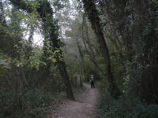 Camino de Santiago en Catalunya. De Tarragona a Santes Creus