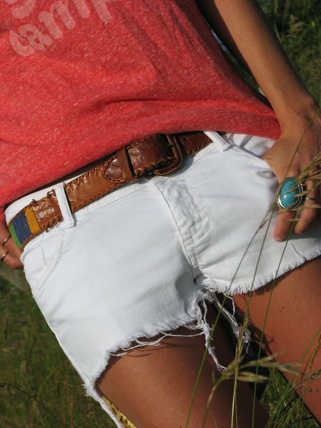 T H E L A S T S U M M E R P I E C E S