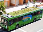 Jardines movimiento Phytokinetic