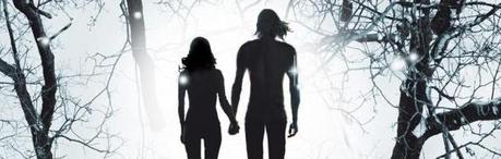 Reseña de Literatura | Bajo el cielo eterno, de Veronica Rossi