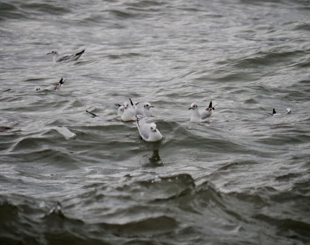Al abrigo del temporal