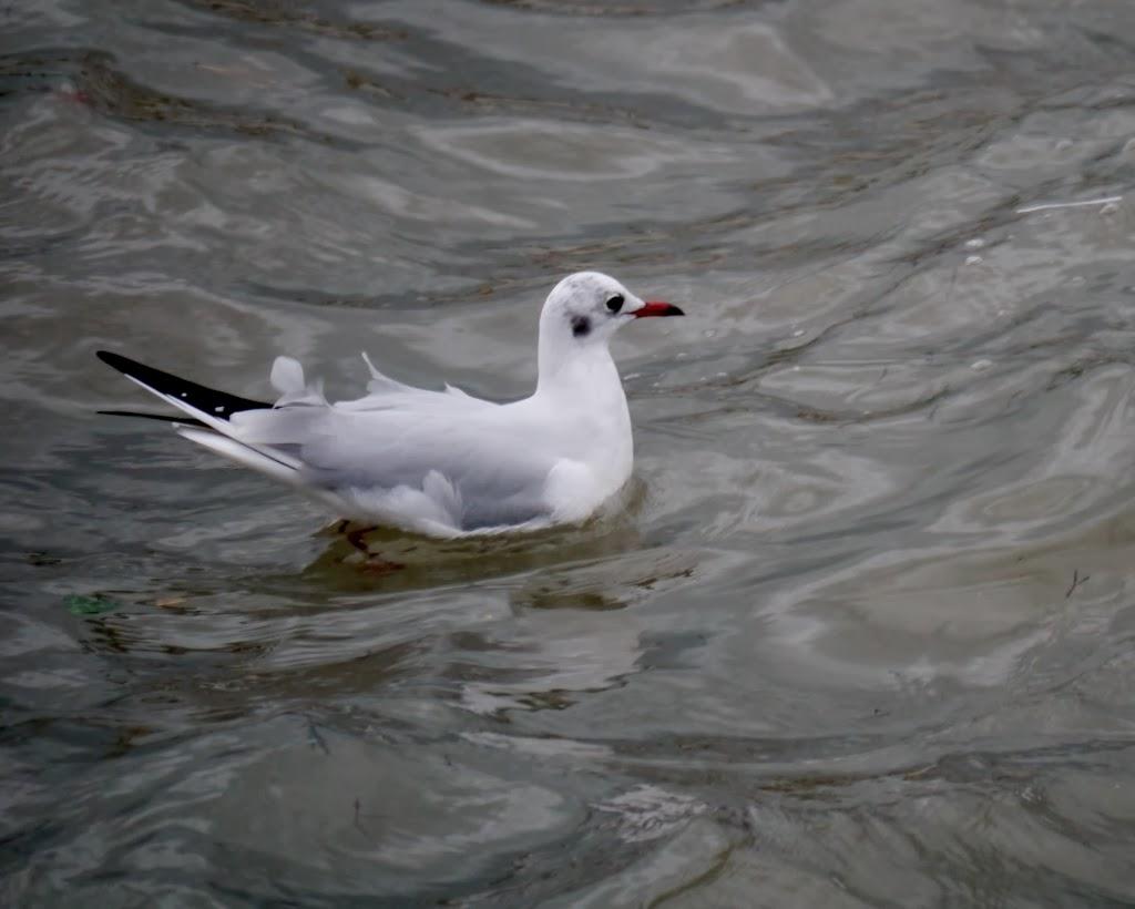 Al abrigo del temporal