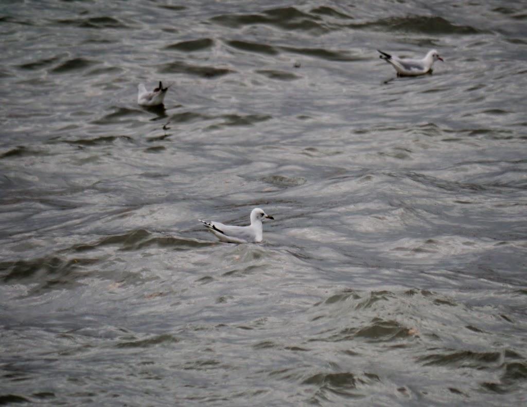 Al abrigo del temporal
