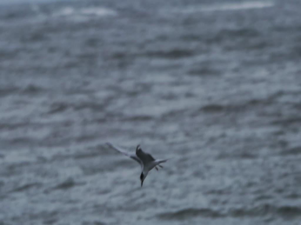 Al abrigo del temporal