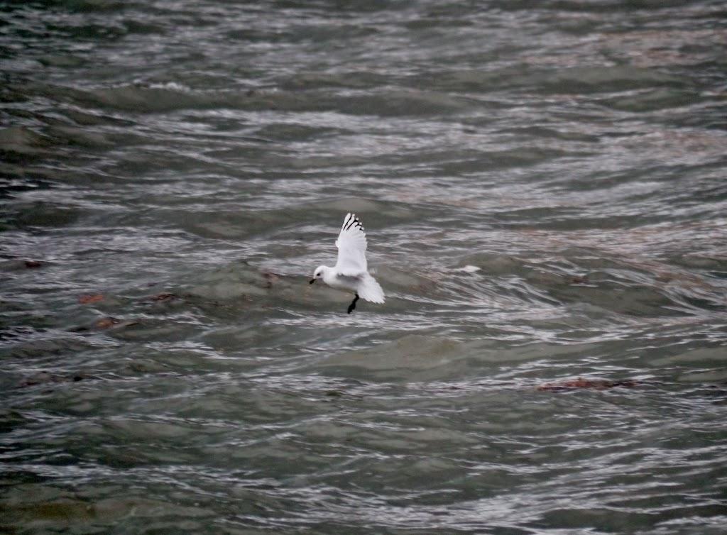 Al abrigo del temporal