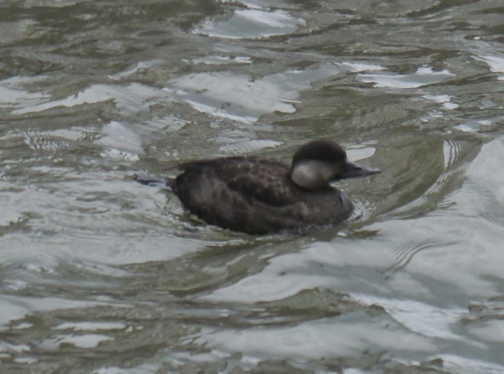Al abrigo del temporal