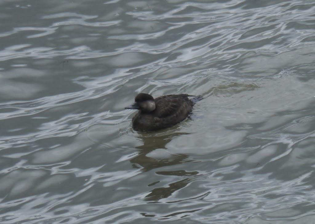 Al abrigo del temporal