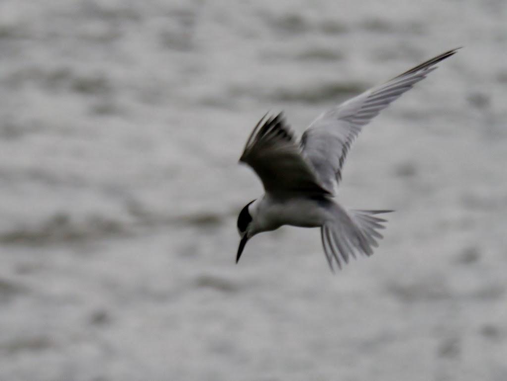 Al abrigo del temporal