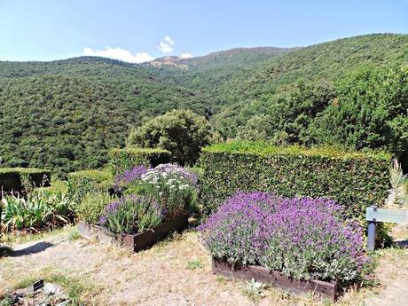 El Priorato de Santa María Serrabona