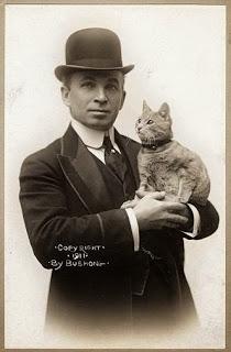 Primer gato en el Atlántico