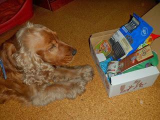 PetSecret de Octubre