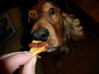 PetSecret de Octubre