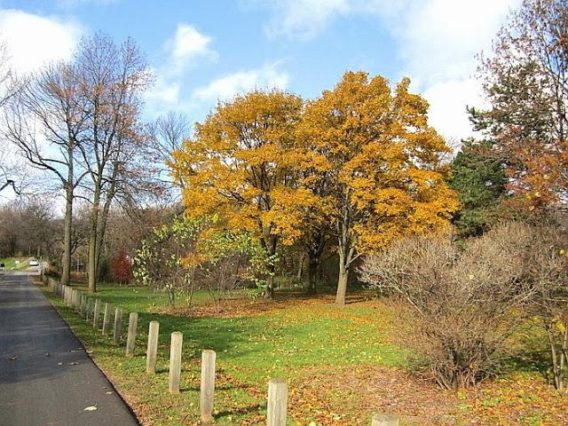 En Shell Park, Oakville, ON, Canadá