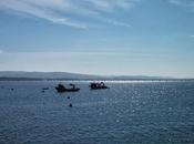 Isla arousa