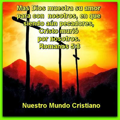 No más culpabilidad