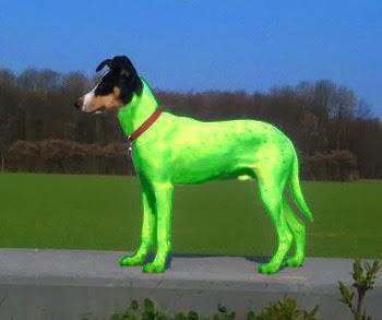 Bailoteo existencial (2)