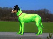 Bailoteo existencial