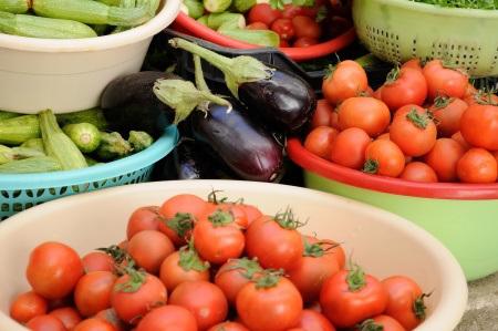 tomates, berenjenas