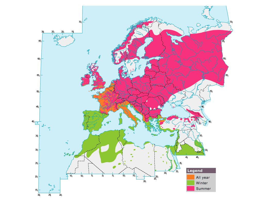 Entrada de mosquiteros