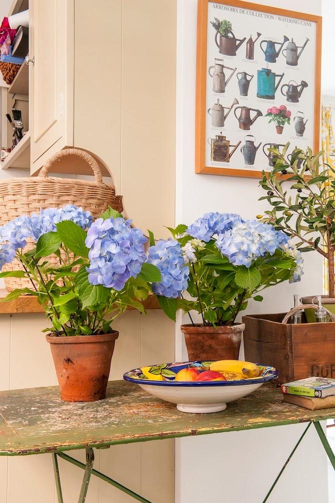 RINCONES RECONFORTANTES, SOÑANDO INSTANTES...