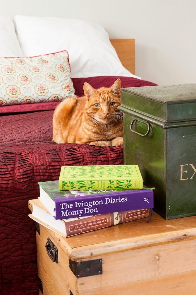 RINCONES RECONFORTANTES, SOÑANDO INSTANTES...