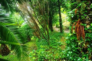 Jardines de la Fonte Baixa