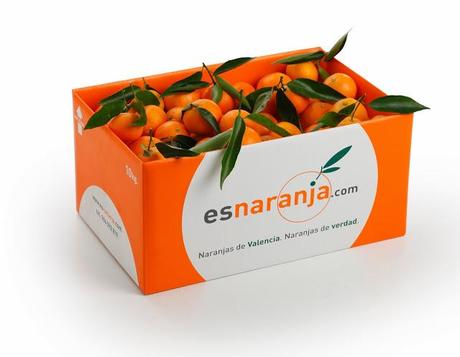 Entrevista a un naranjo: esnaranja.com