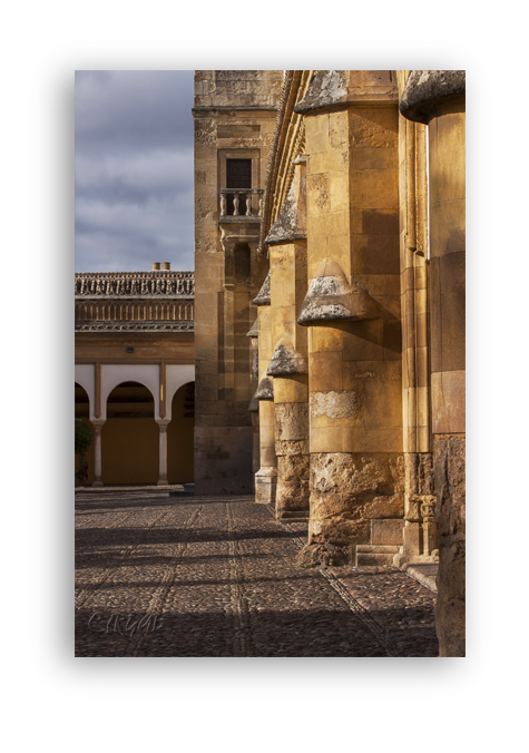 Mezquita de Córdoba -Patio-