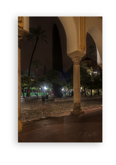 Mezquita de Córdoba -Patio-